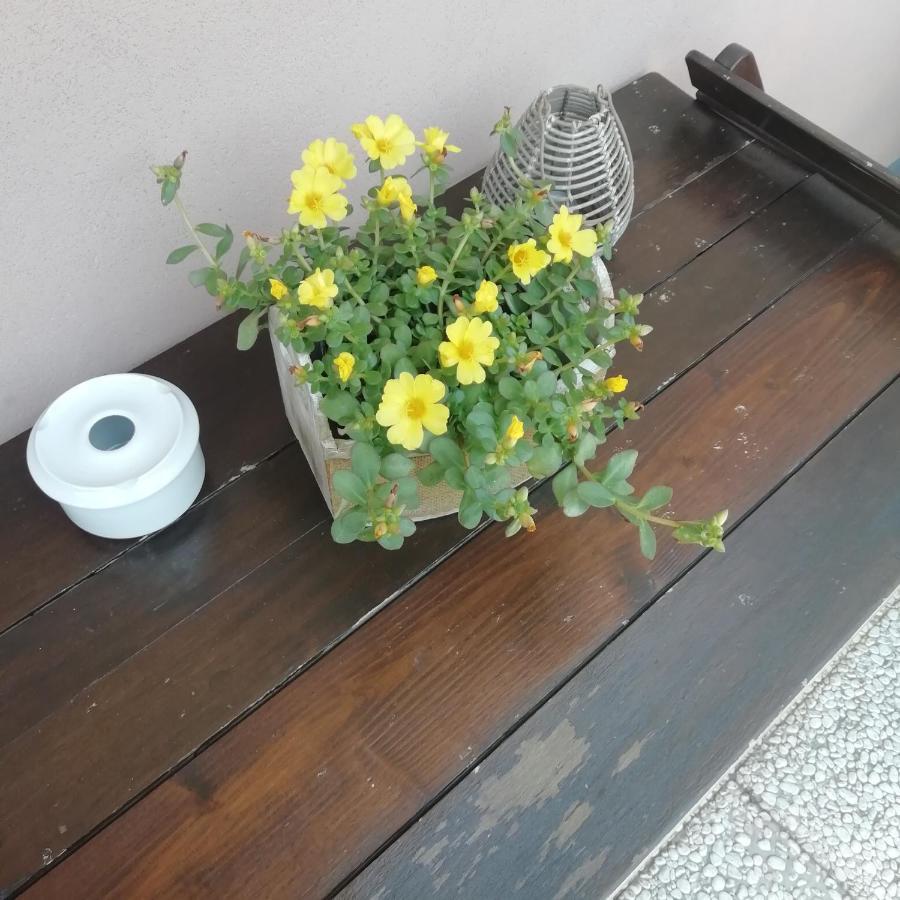 A&G Apartment Zanica Dış mekan fotoğraf