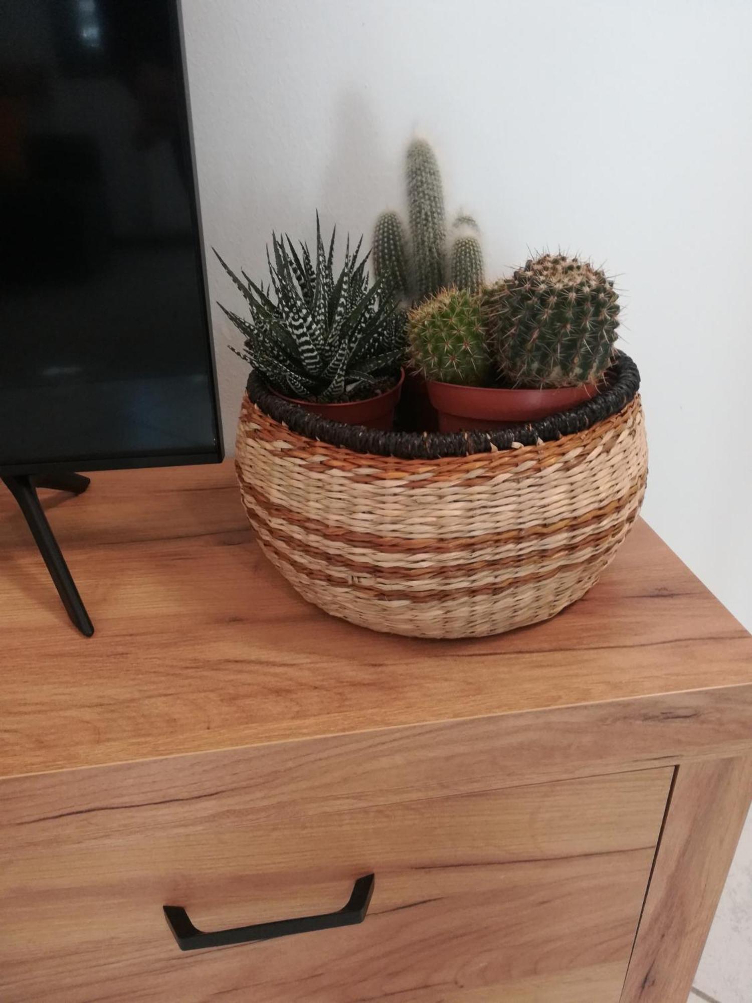 A&G Apartment Zanica Dış mekan fotoğraf
